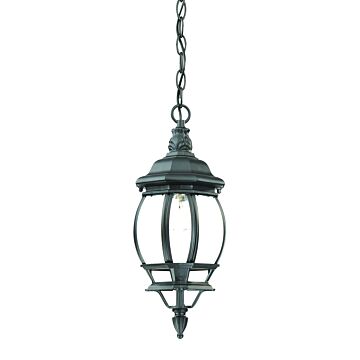 Chateau 1-Light Matte Black Hanging Light