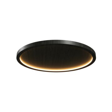 Naia LED Ceiling Mount in Charcoal