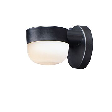 Maxim Michelle Outdoor Wall Light in Black