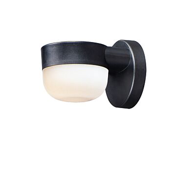 Maxim Michelle Outdoor Wall Light in Black