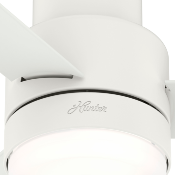 Hunter Gilmour 2 Light 44 Inch Indoor Flush Mount Ceiling Fan in Matte White