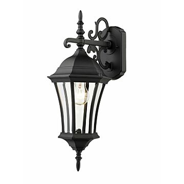 Z-Lite Wakefield 1-Light Outdoor Wall Sconce In Black