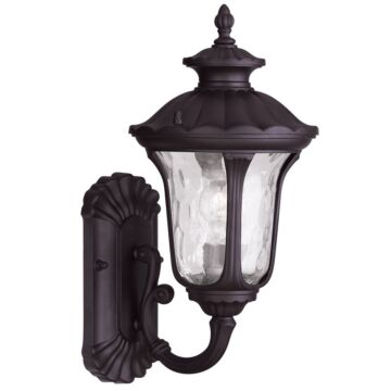 Oxford 1-Light Outdoor Wall Lantern in Bronze