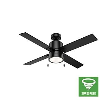 Hunter Beck 2 Light 52 Inch Indoor Ceiling Fan in Matte Black