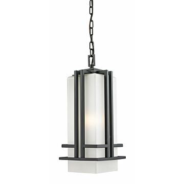 Z-Lite Abbey 1-Light Outdoor Chain Mount Ceiling Fixture Light In Black