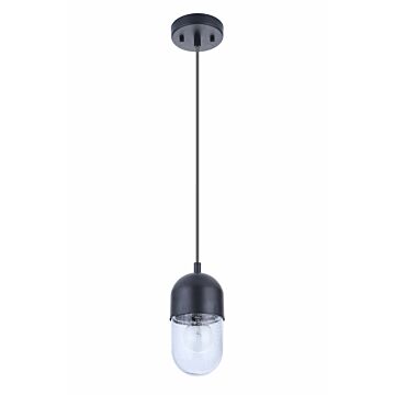 Pill One Light Mini Pendant in Flat Black by Craftmade