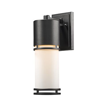 Z-Lite Luminata 1-Light Outdoor Wall Sconce In Black