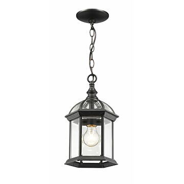 Z-Lite Annex 1-Light Outdoor Chain Mount Ceiling Fixture Light In Black