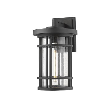 Z-Lite Jordan 1-Light Outdoor Wall Sconce In Black