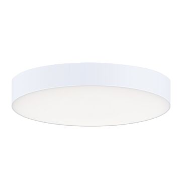 Maxim Trim Ceiling Light in White