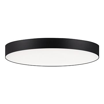 Maxim Trim Ceiling Light in Black