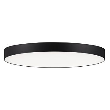 Maxim Trim Ceiling Light in Black