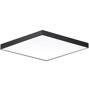 Maxim Trim Ceiling Light in Black