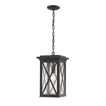 Z-Lite Brookside 1-Light Outdoor Chain Mount Ceiling Fixture Light In Black