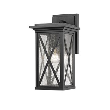 Z-Lite Brookside 1-Light Outdoor Wall Sconce In Black