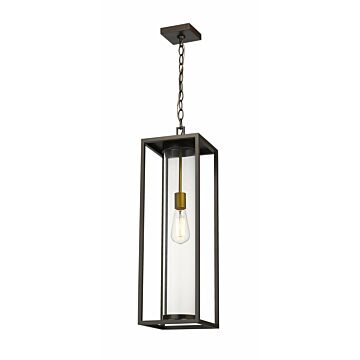 Z-Lite Dunbroch 1-Light Outdoor Chain Mount Ceiling Fixture Light In Deep Bronze With Outdoor Brass