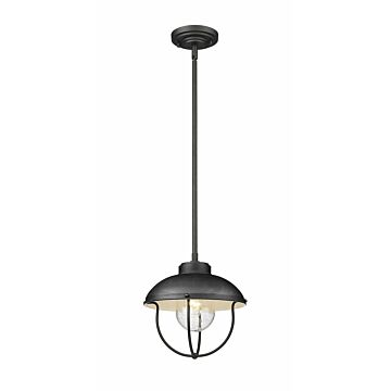 Z-Lite Ansel 1-Light Outdoor Pendant Light In Black