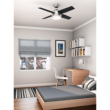 Hunter Dempsey 2 Light 44 Inch Indoor Ceiling Fan in Brushed Nickel