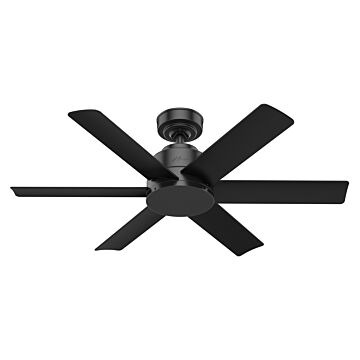 Kennicott 44" Ceiling Fan in Matte Black