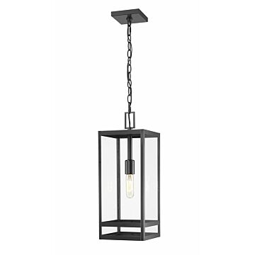 Z-Lite Nuri 1-Light Outdoor Chain Mount Ceiling Fixture Light In Black