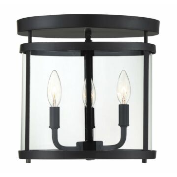 Penrose Three Light SemiFlush Mount in Black by Savoy House