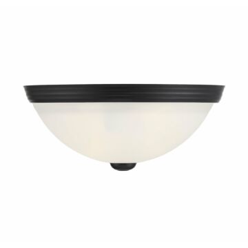 Flush mount Two Light Flush Mount in Matte Black by Savoy House