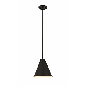 Z-Lite Eaton 1-Light Pendant Light In Matte Black