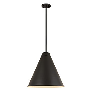 Z-Lite Eaton 1-Light Pendant Light In Matte Black