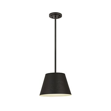 Z-Lite Maddox 1-Light Chandelier In Matte Black