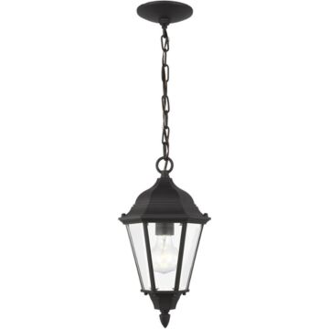 Generation Lighting Bakersville Outdoor Hanging Light in Black