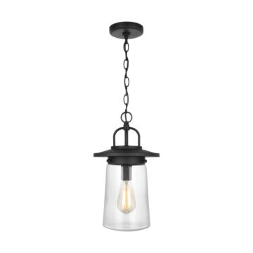 Tybee 1-Light Outdoor Pendant in Black
