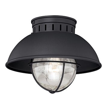 Harwich 1-Light Outdoor Flush Mount in Textured Black