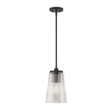 Chantilly One Light Pendant in Matte Black by Savoy House