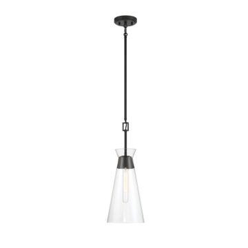 Lakewood One Light Pendant in Matte Black by Savoy House