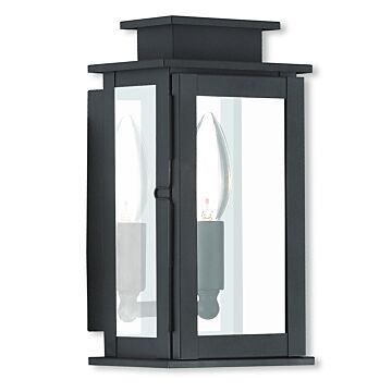 Princeton 1-Light Outdoor Wall Lantern in Bronze w with Polished Chrome Stainless Steel