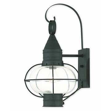 Newburyport 1-Light Outdoor Wall Lantern in Black