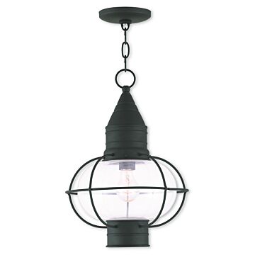 Newburyport 1-Light Outdoor Pendant in Black