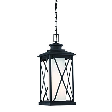  Lansdale Traditional Outdoor Hanging Light in Black