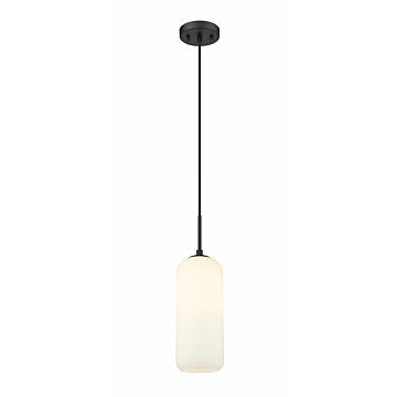 Z-Lite Monty 1-Light Pendant Light In Matte Black