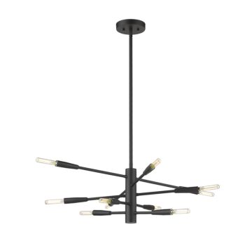 Z-Lite Ascension 10-Light Chandelier In Matte Black