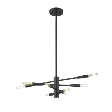 Z-Lite Ascension 8-Light Chandelier In Matte Black