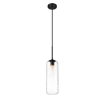 Z-Lite Monty 1-Light Pendant Light In Matte Black
