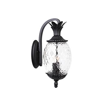 Lanai 2-Light Wall Sconce in Matte Black