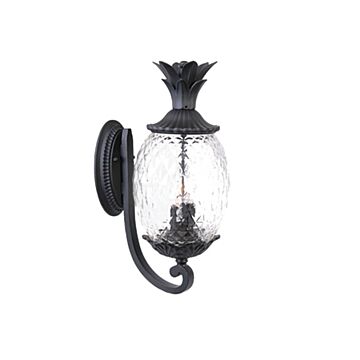 Lanai 3-Light Wall Sconce in Matte Black
