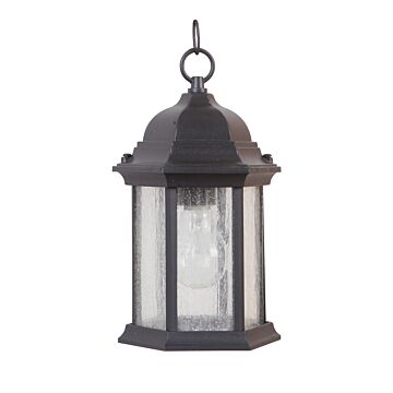 Hex Style Cast One Light Pendant in Textured Black by Craftmade