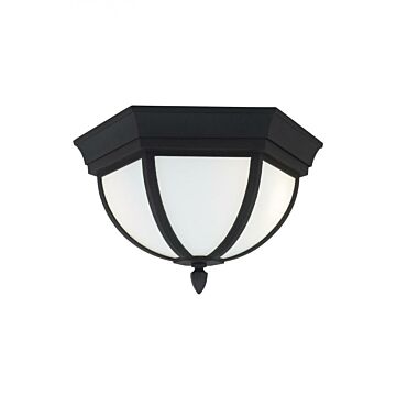 Sea Gull Wynfield 2 Light Outdoor Ceiling Light in Black