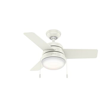 Aker 36" Ceiling Fan in Fresh White by Hunter Fans