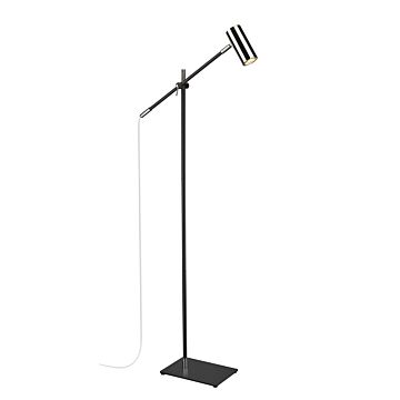 Z-Lite Calumet 1-Light Floor Lamp Light In Matte Black With Polished Nickel