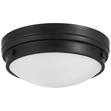 Minka Lavery 2 Light Ceiling Light in Coal