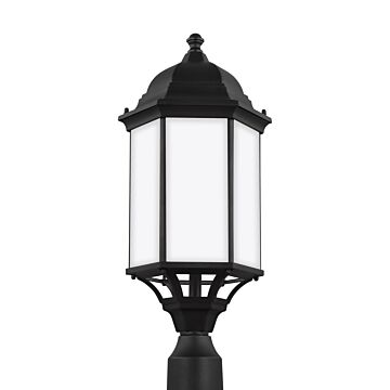 Sevier 1-Light Outdoor Post Lantern in Black